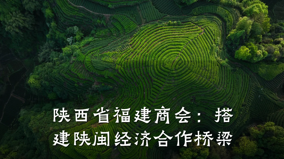 陕西省福建商会:搭建陕闽经济合作桥梁