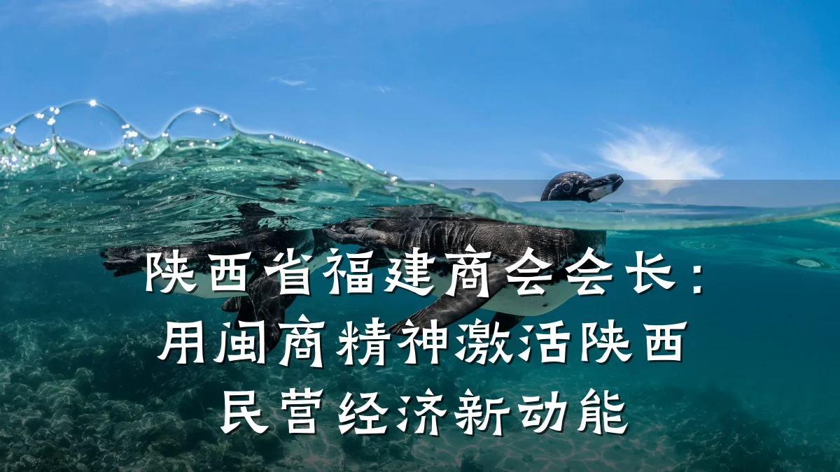 陕西省福建商会会长:用闽商精神激活陕西民营经济新动能