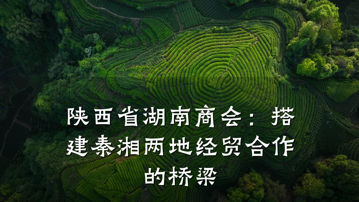 陕西省湖南商会:搭建秦湘两地经贸合作的桥梁