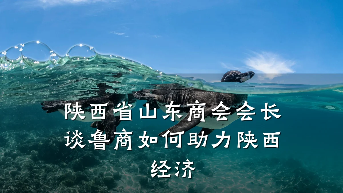 陕西省山东商会会长谈鲁商如何助力陕西经济