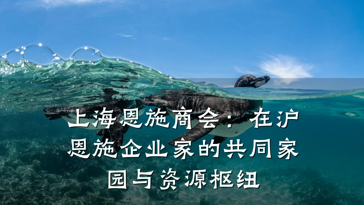 上海恩施商会:在沪恩施企业家的共同家园与资源枢纽