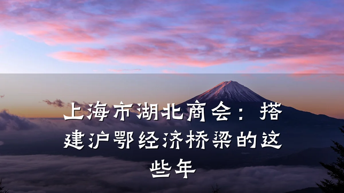 上海市湖北商会:搭建沪鄂经济桥梁的这些年