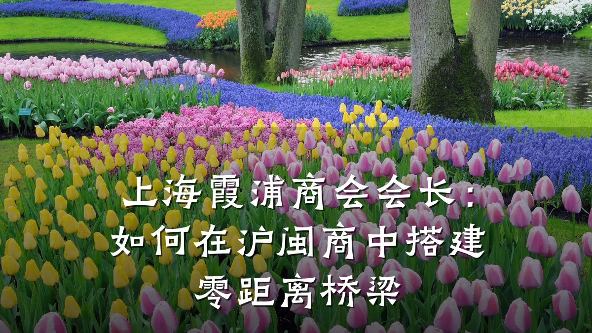 上海霞浦商会会长：如何在沪闽商中搭建零距离桥梁