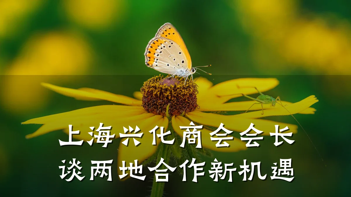 上海兴化商会会长谈两地合作新机遇
