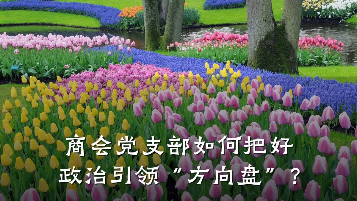 商会党支部如何把好政治引领“方向盘”?