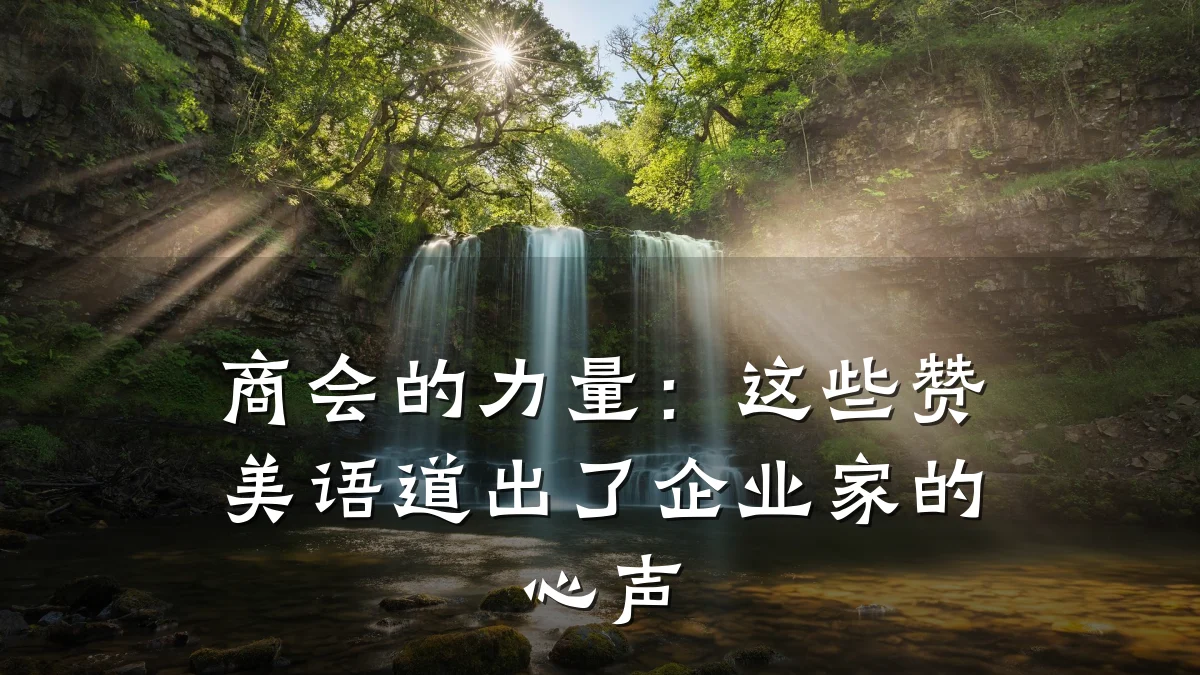 商会的力量:这些赞美语道出了企业家的心声