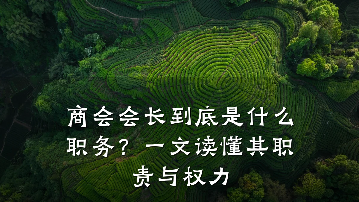 商会会长到底是什么职务?一文读懂其职责与权力