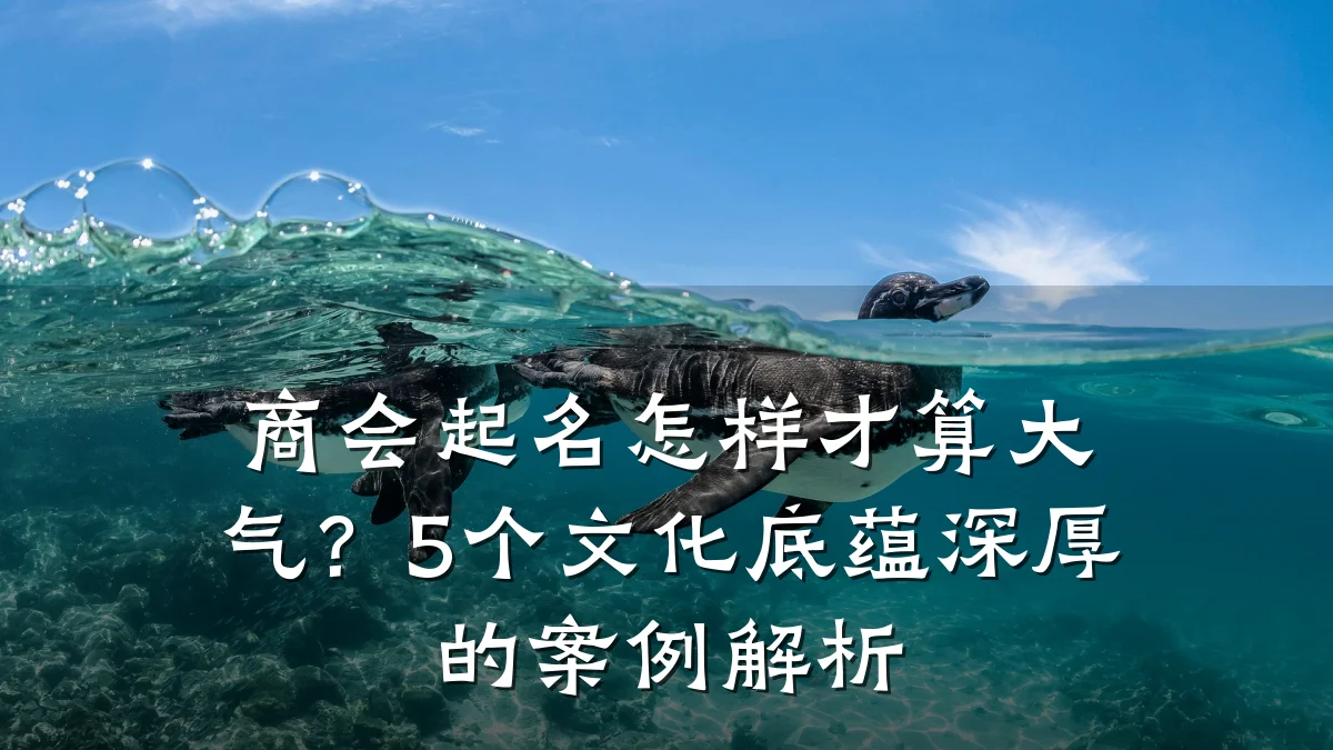 商会起名怎样才算大气?5个文化底蕴深厚的案例解析