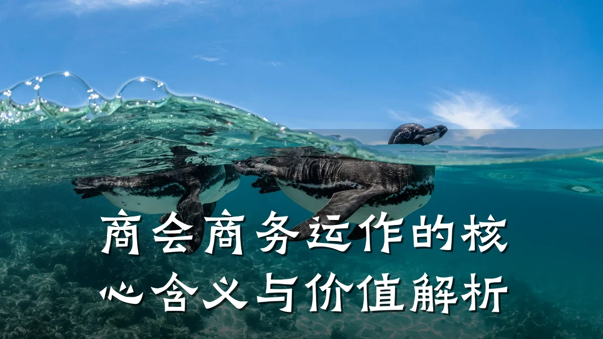商会商务运作的核心含义与价值解析