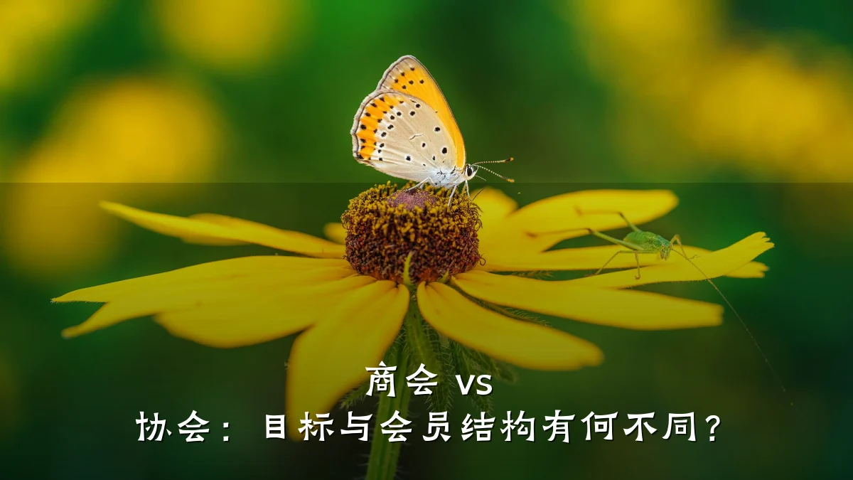 商会 vs 协会:目标与会员结构有何不同?