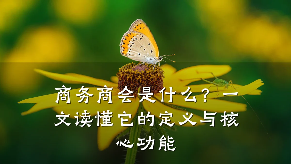 商务商会是什么?一文读懂它的定义与核心功能