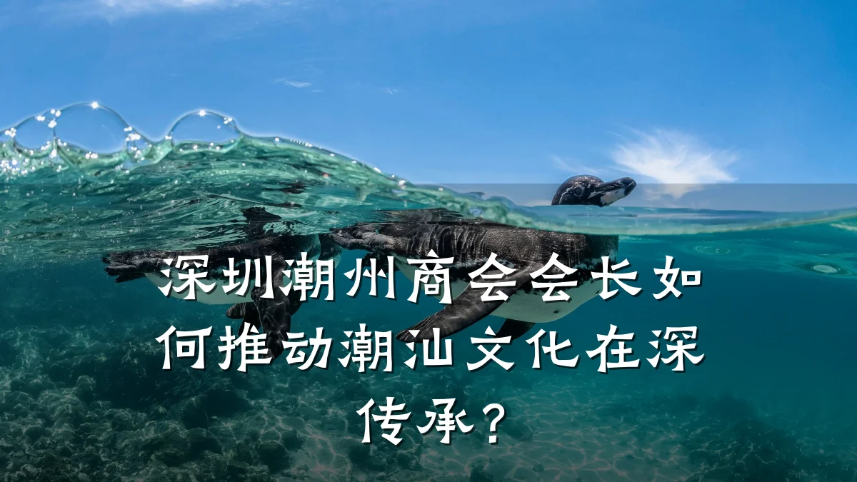 深圳潮州商会会长如何推动潮汕文化在深传承?