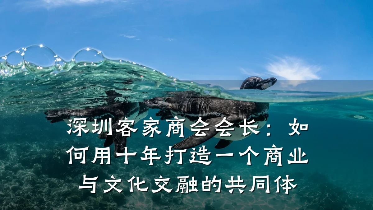 深圳客家商会会长：如何用十年打造一个商业与文化交融的共同体
