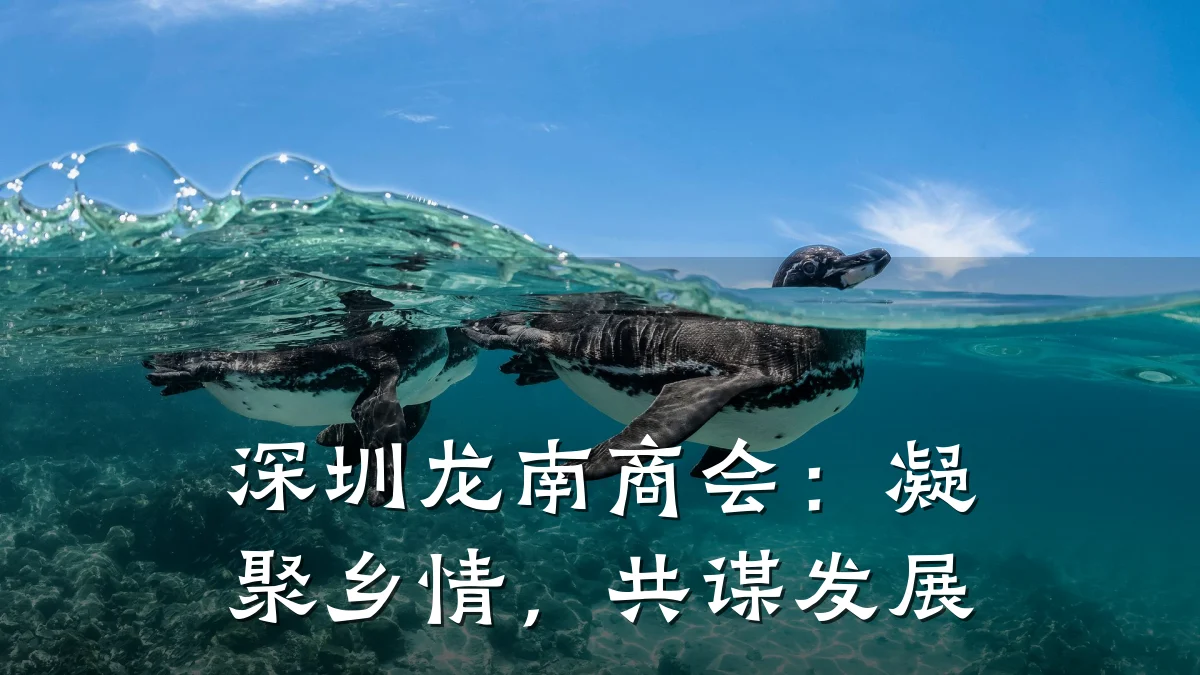深圳龙南商会:凝聚乡情,共谋发展