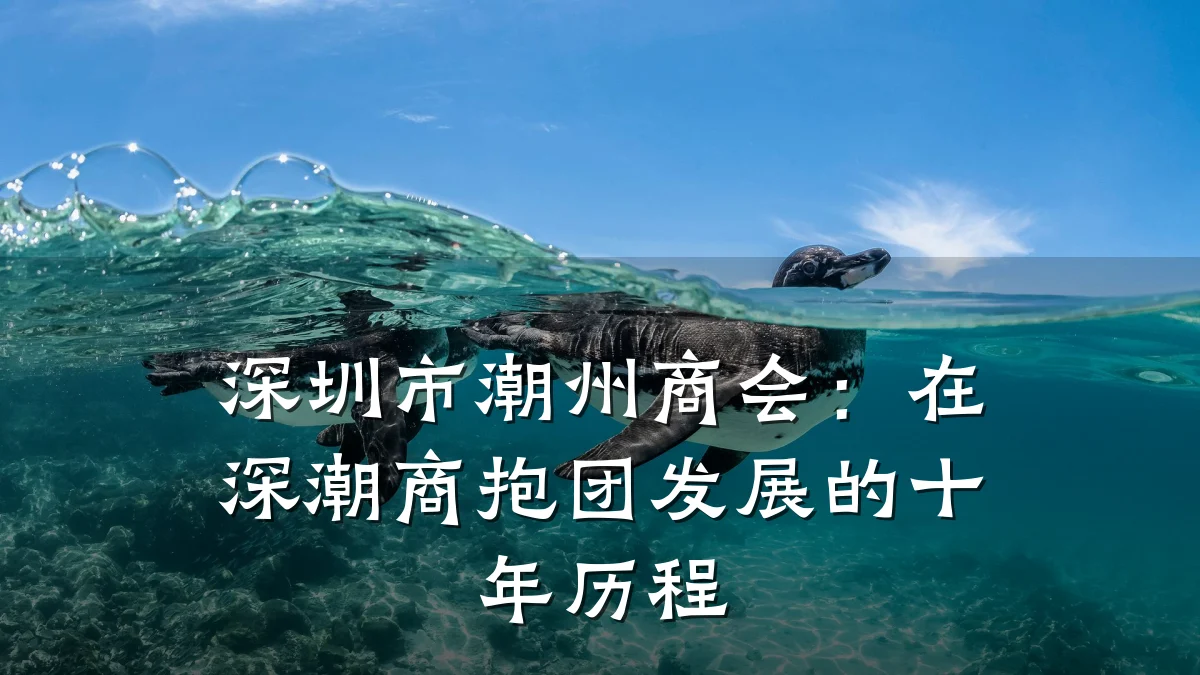 深圳市潮州商会:在深潮商抱团发展的十年历程
