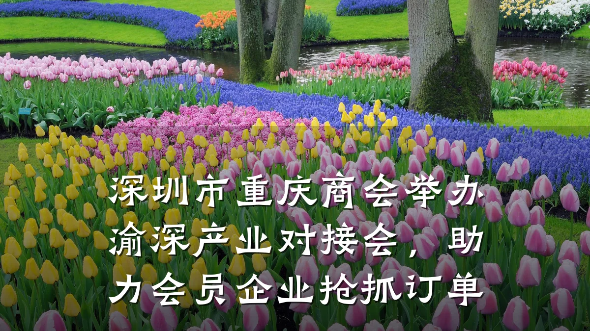 深圳市重庆商会举办渝深产业对接会,助力会员企业抢抓订单