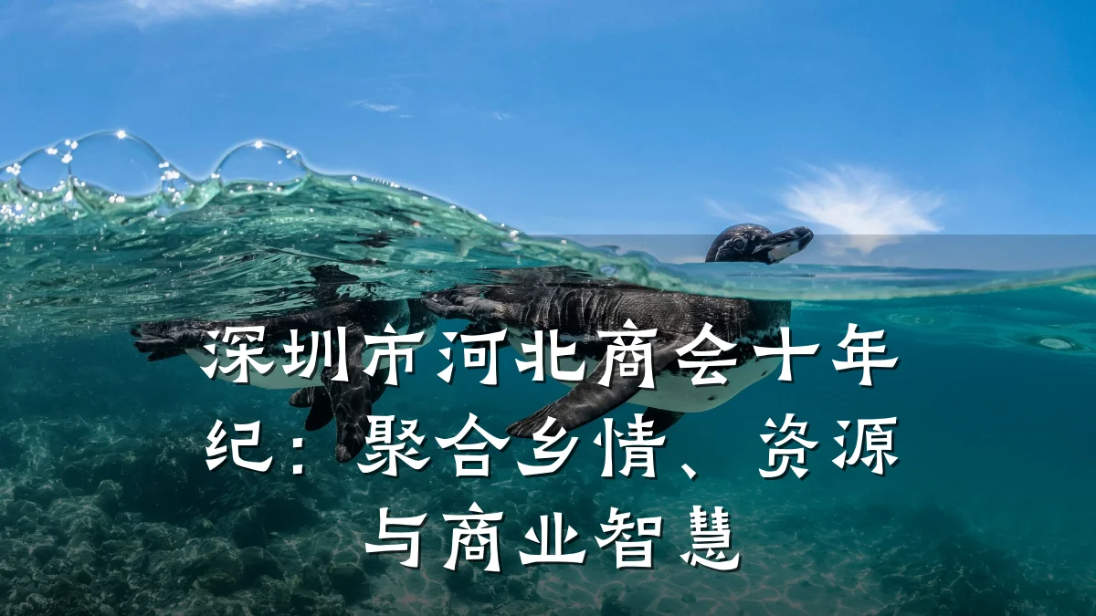 深圳市河北商会十年纪:聚合乡情、资源与商业智慧