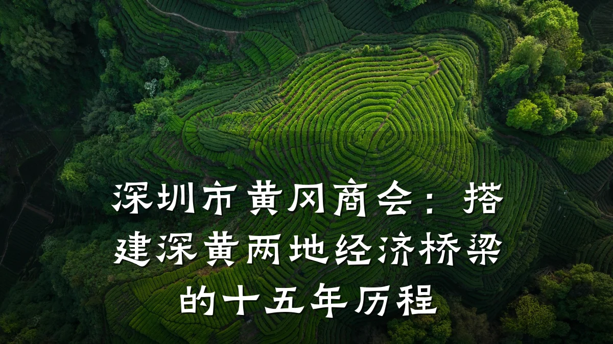 深圳市黄冈商会:搭建深黄两地经济桥梁的十五年历程