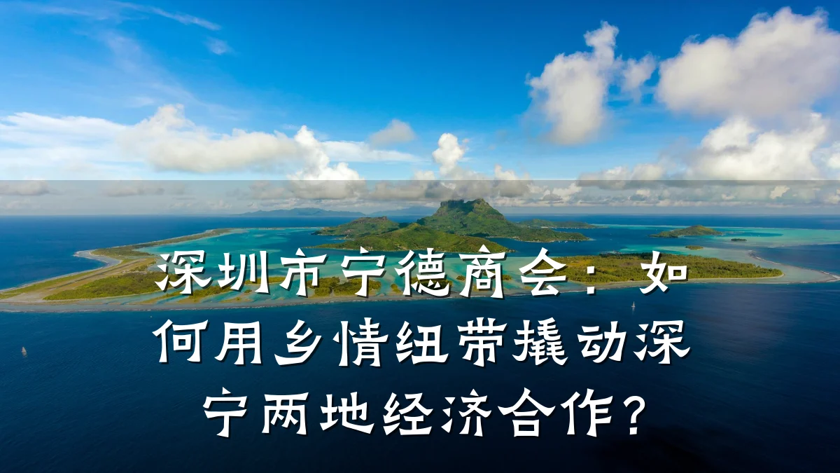 深圳市宁德商会:如何用乡情纽带撬动深宁两地经济合作?