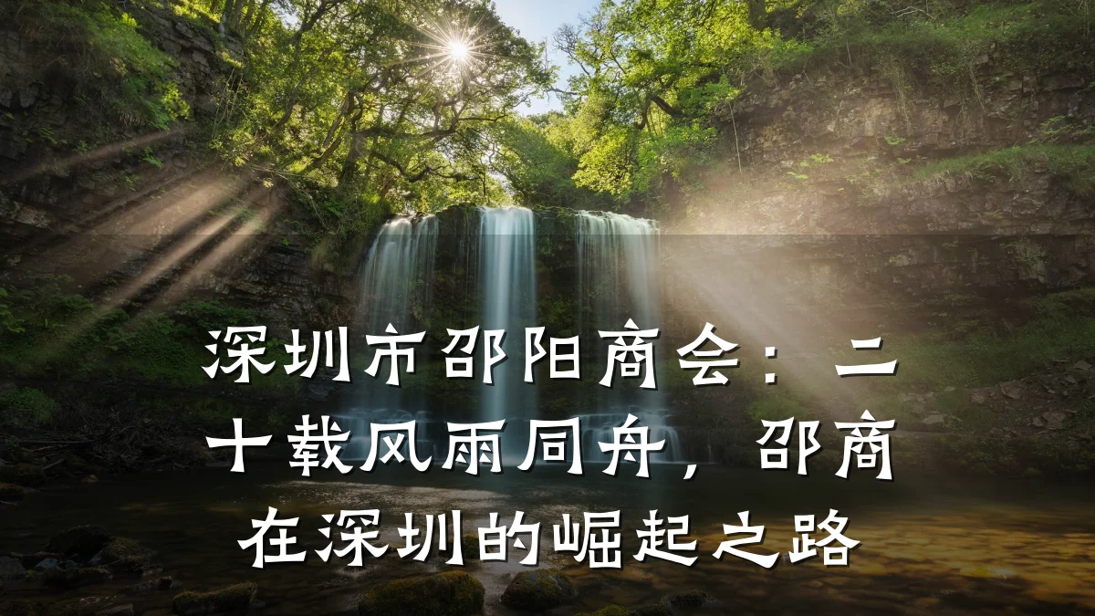 深圳市邵阳商会:二十载风雨同舟,邵商在深圳的崛起之路