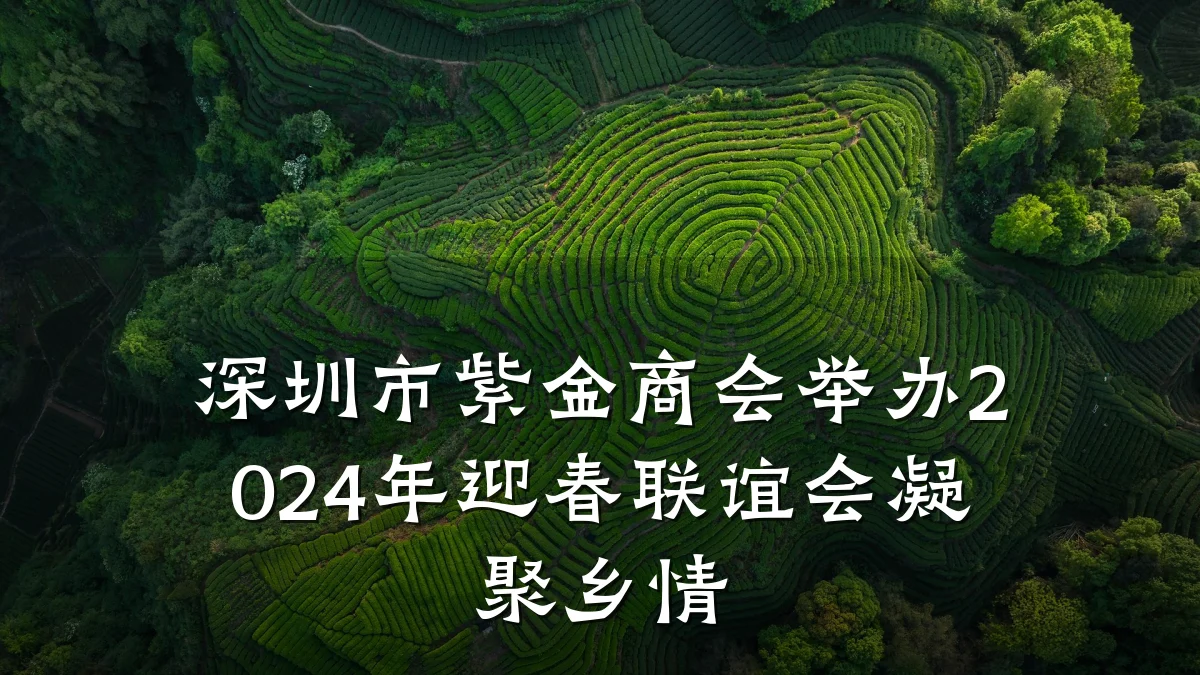 深圳市紫金商会举办2024年迎春联谊会凝聚乡情