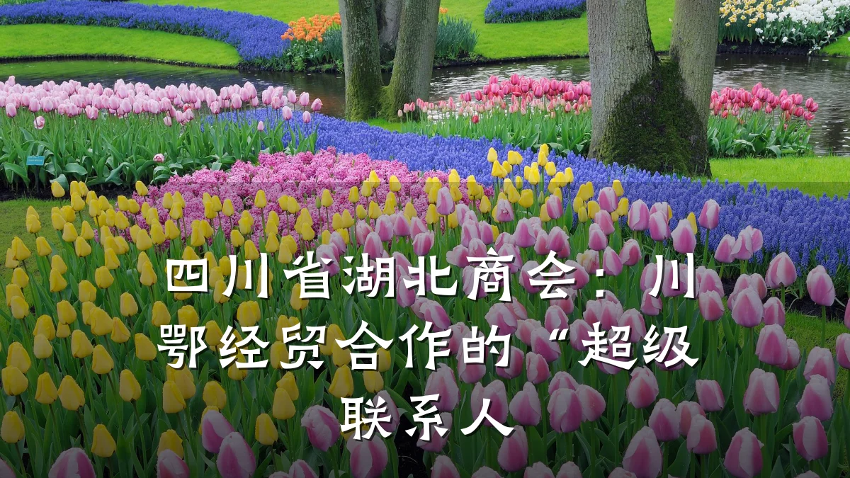 四川省湖北商会：川鄂经贸合作的“超级联系人