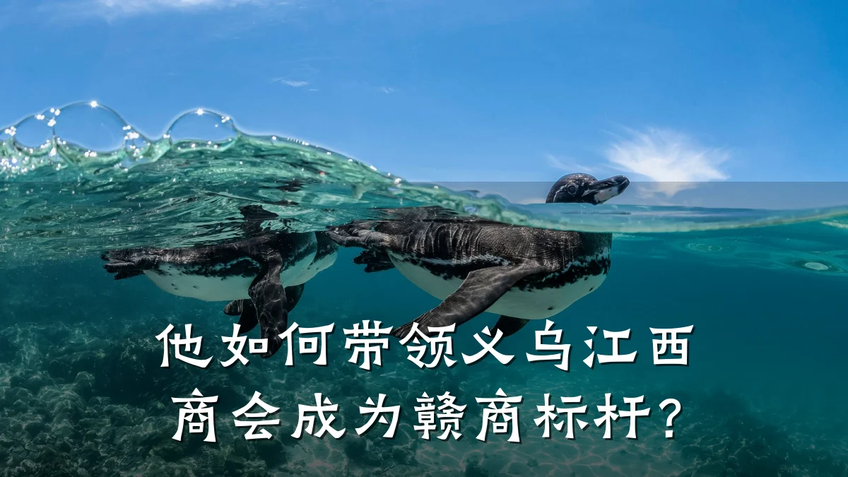 他如何带领义乌江西商会成为赣商标杆?