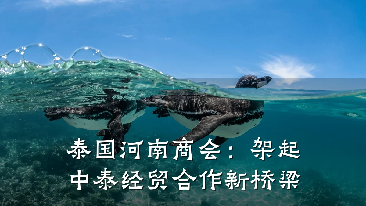 泰国河南商会:架起中泰经贸合作新桥梁