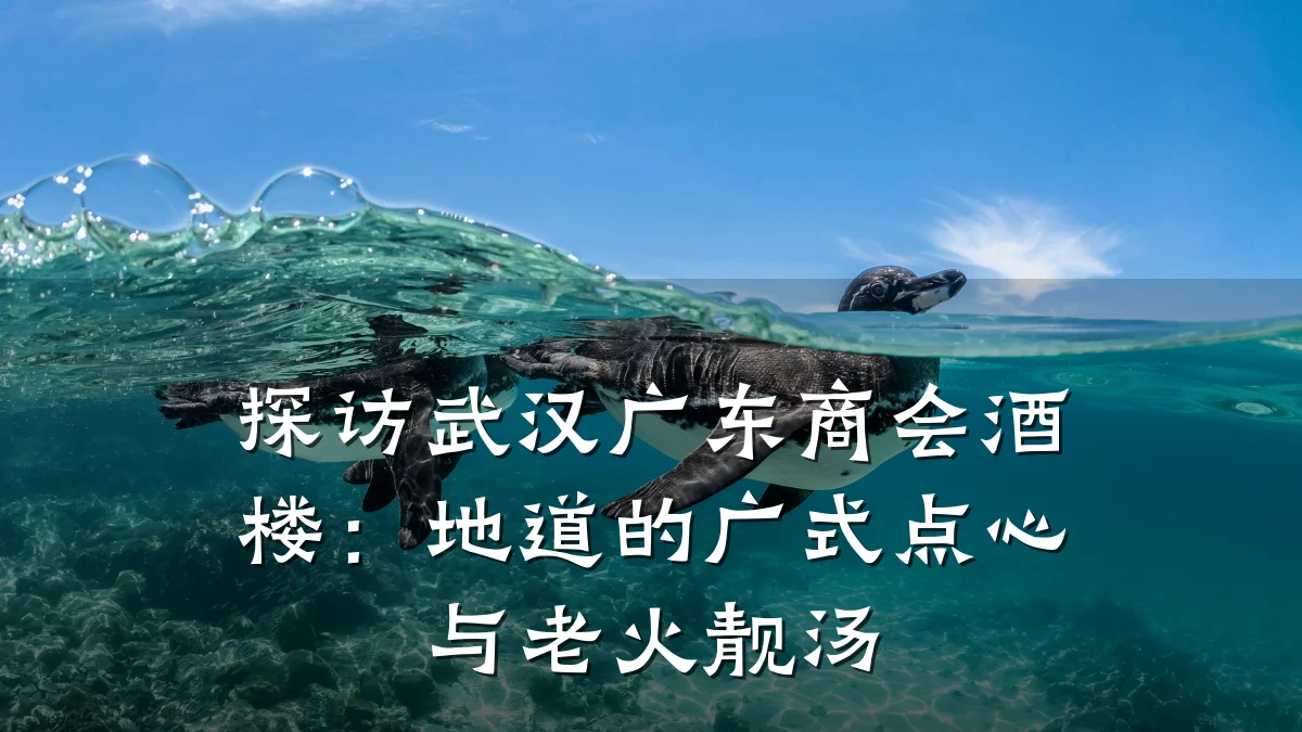 探访武汉广东商会酒楼:地道的广式点心与老火靓汤