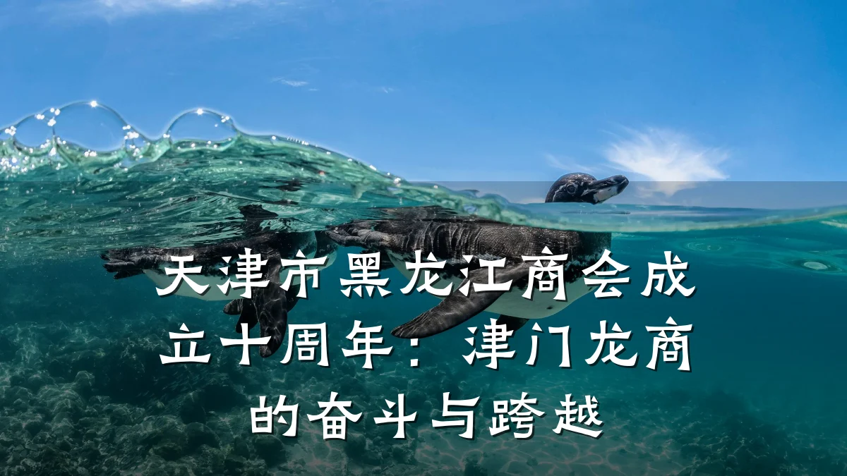 天津市黑龙江商会成立十周年:津门龙商的奋斗与跨越