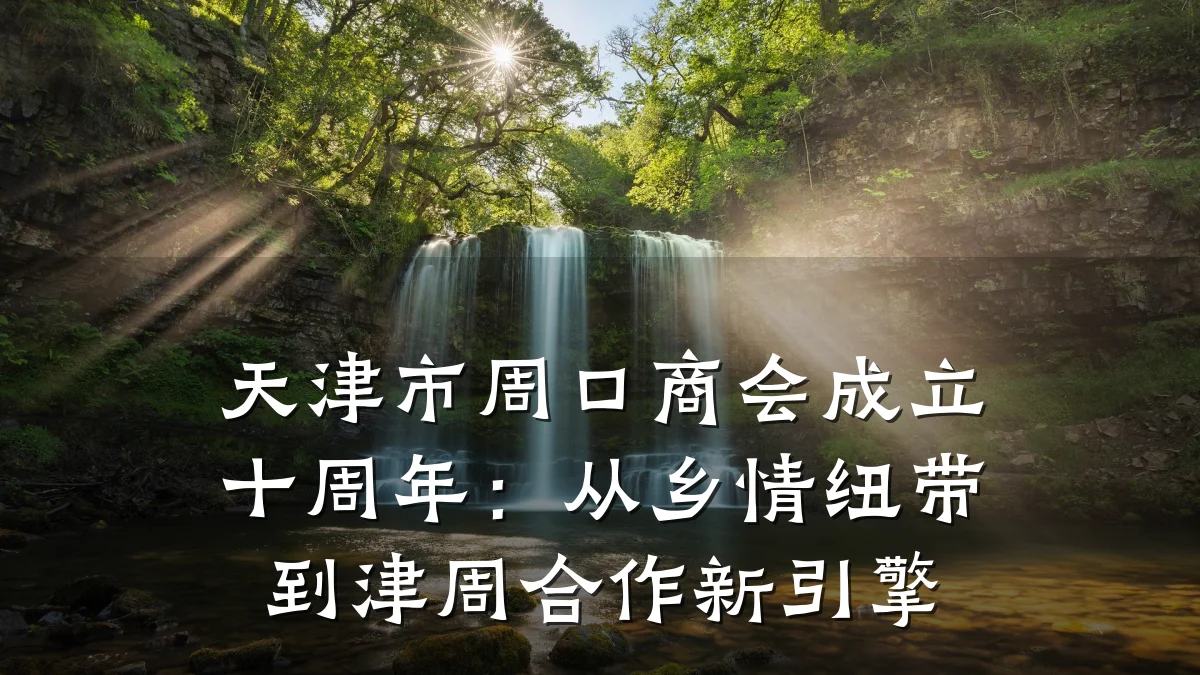 天津市周口商会成立十周年:从乡情纽带到津周合作新引擎