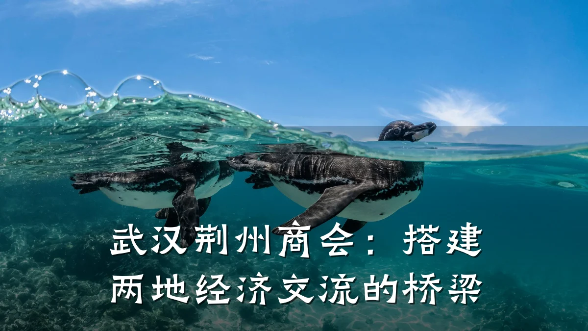 武汉荆州商会:搭建两地经济交流的桥梁
