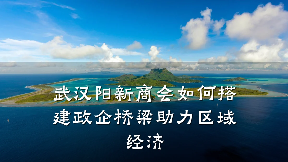 武汉阳新商会如何搭建政企桥梁助力区域经济