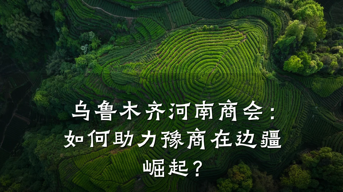 乌鲁木齐河南商会:如何助力豫商在边疆崛起?