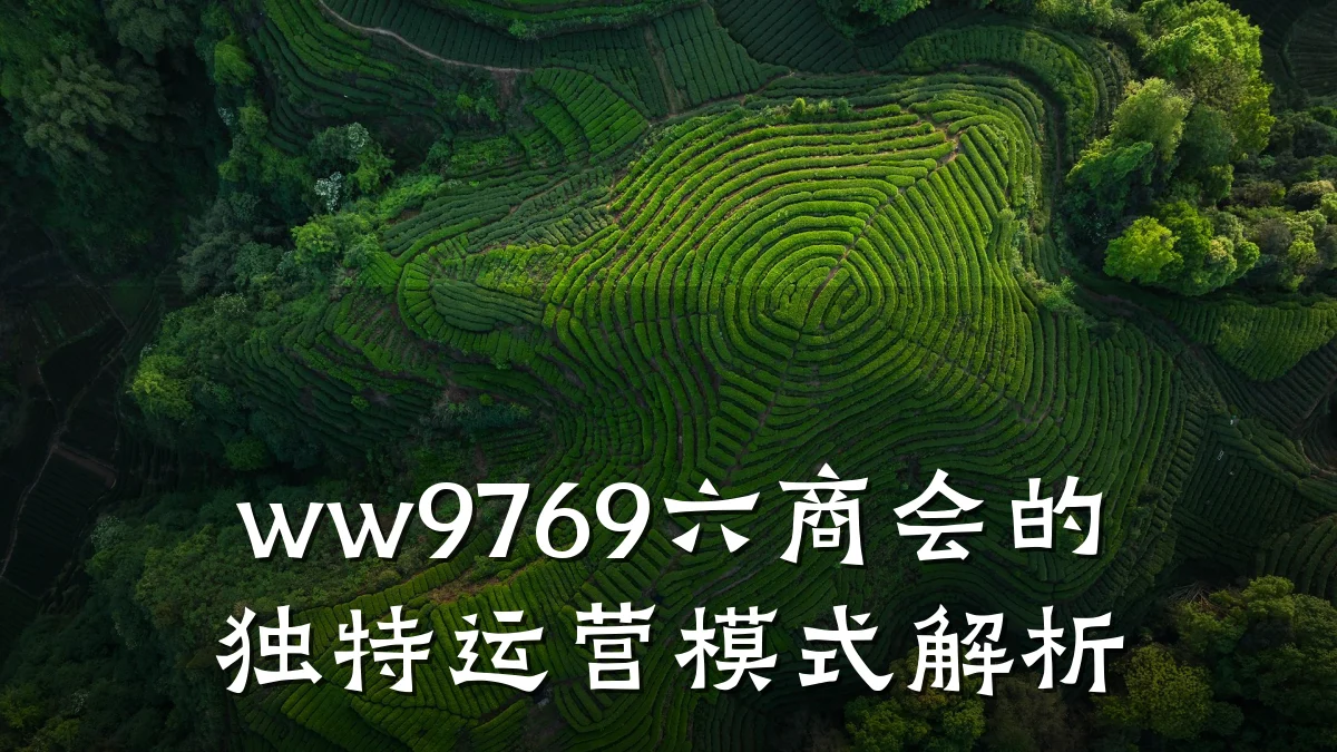 ww9769六商会的独特运营模式解析