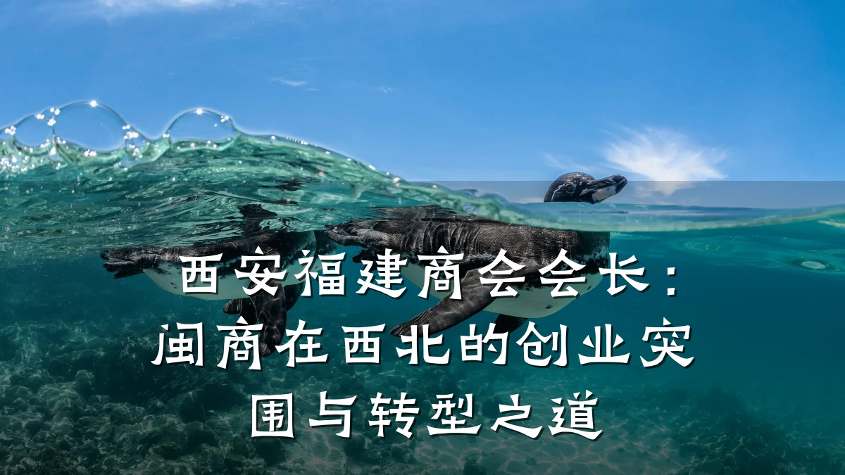 西安福建商会会长:闽商在西北的创业突围与转型之道