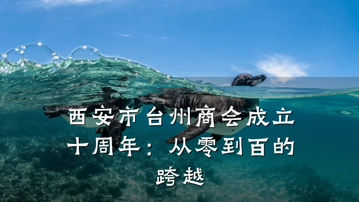 西安市台州商会成立十周年:从零到百的跨越