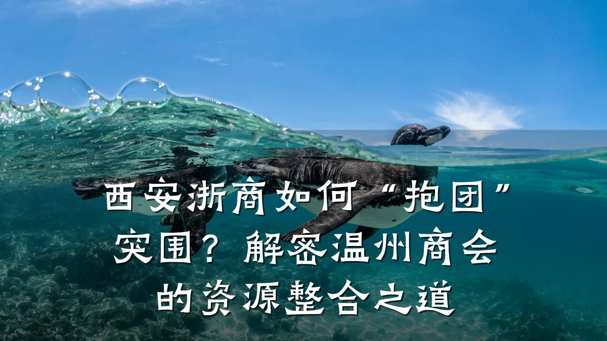 西安浙商如何“抱团”突围?解密温州商会的资源整合之道