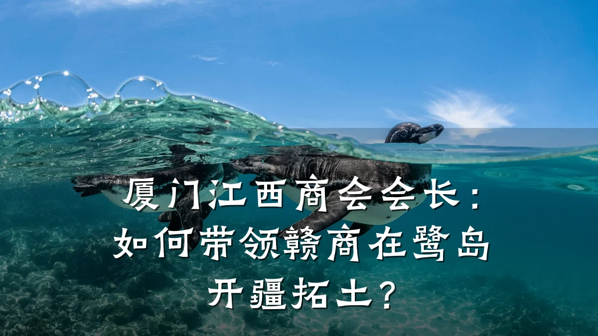 厦门江西商会会长：如何带领赣商在鹭岛开疆拓土？
