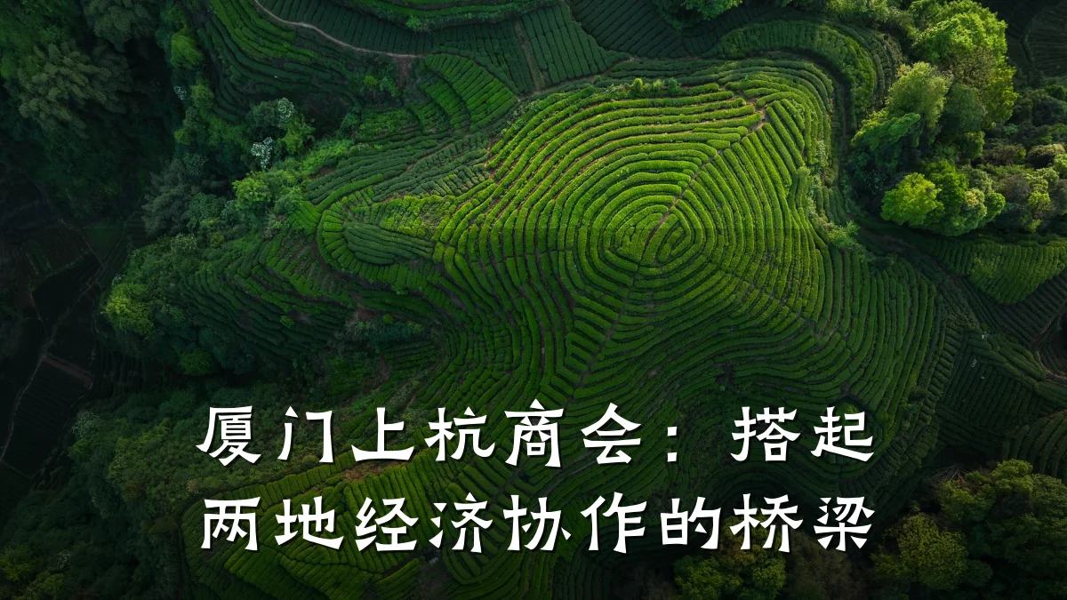 厦门上杭商会：搭起两地经济协作的桥梁