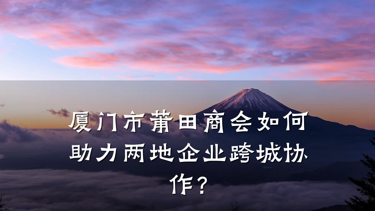 厦门市莆田商会如何助力两地企业跨城协作?