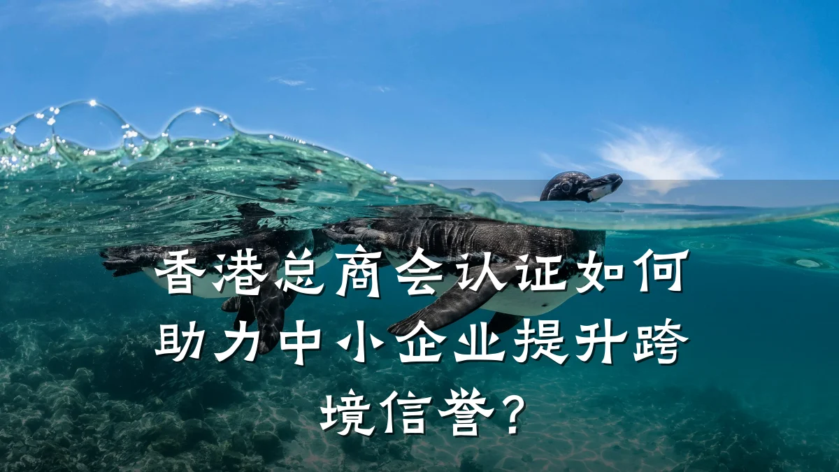 香港总商会认证如何助力中小企业提升跨境信誉?