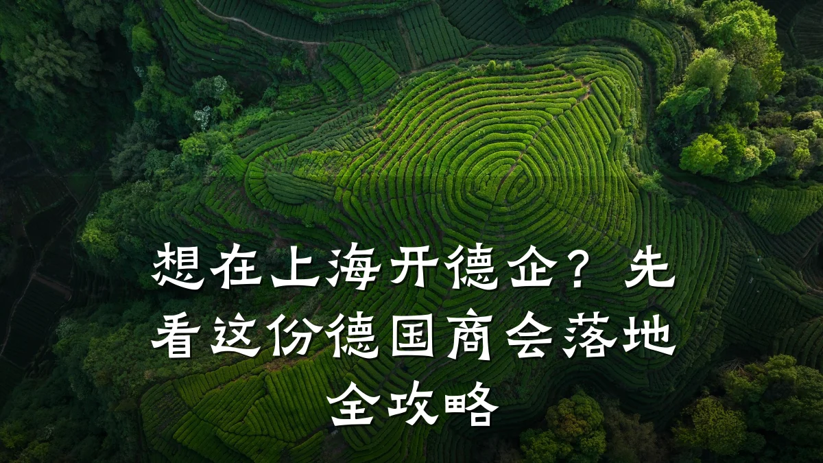 想在上海开德企?先看这份德国商会落地全攻略