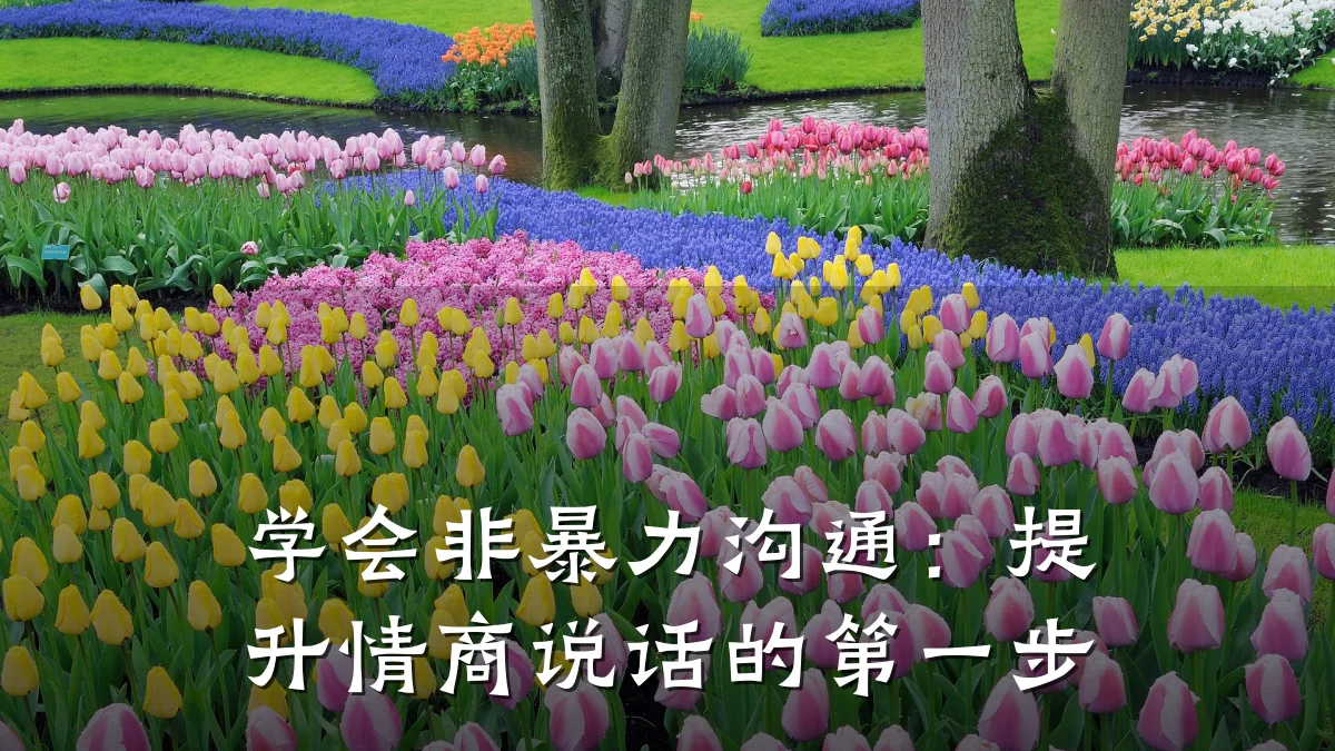学会非暴力沟通:提升情商说话的第一步