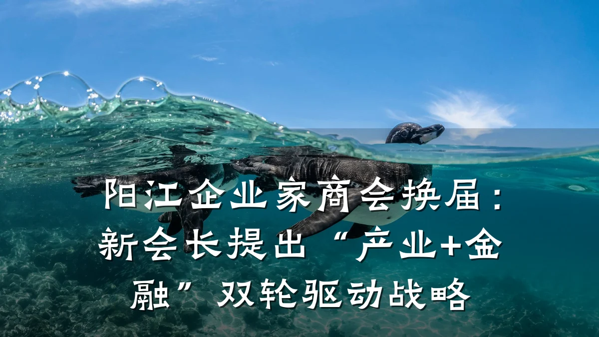 阳江企业家商会换届:新会长提出“产业+金融”双轮驱动战略