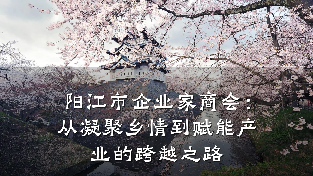 阳江市企业家商会：从凝聚乡情到赋能产业的跨越之路