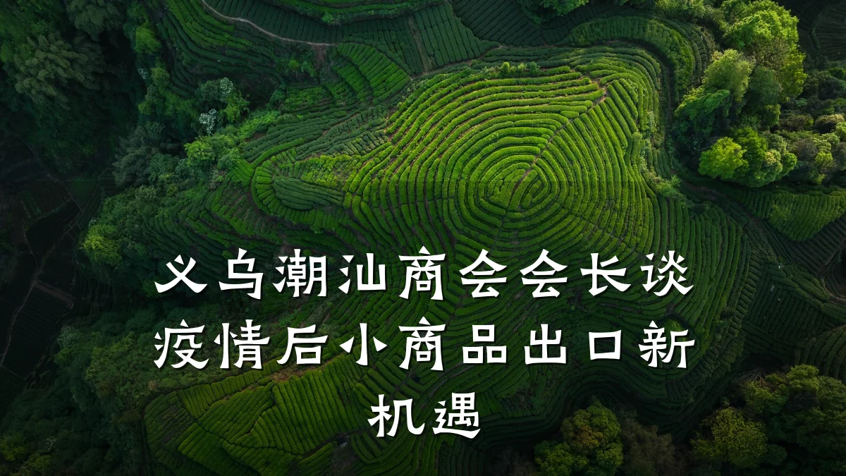 义乌潮汕商会会长谈疫情后小商品出口新机遇
