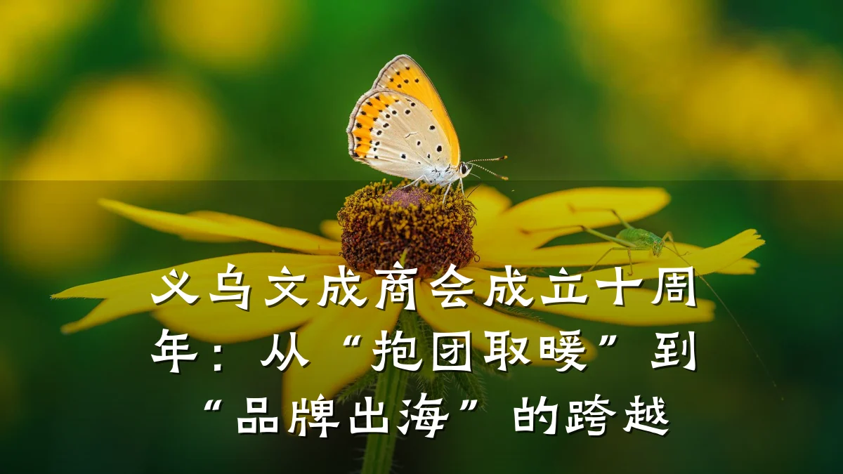 义乌文成商会成立十周年:从“抱团取暖”到“品牌出海”的跨越