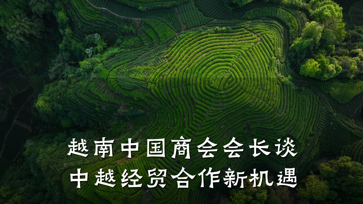 越南中国商会会长谈中越经贸合作新机遇
