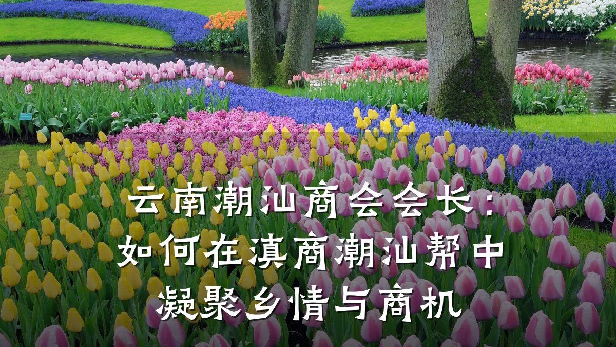 云南潮汕商会会长:如何在滇商潮汕帮中凝聚乡情与商机